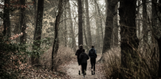 Bieganie po twardych nawierzchniach