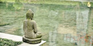 Ile koszt instalacji folii grzewczej?