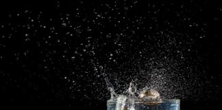 Czy na wesele wypada iść w spodenkach?