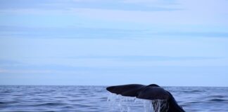 Jaką grubość materaca dla 2 latka?