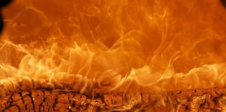 Co to za marka Kenwood? Co to za marka Kenwood?