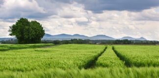 Jaki rozstaw śrub Mitsubishi?