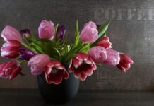 Jak dobrać sprężyny gazowe?