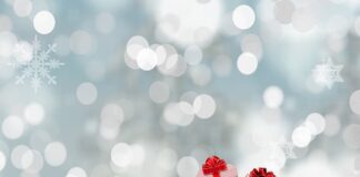 Czym wypełnić worek Sako? Czym wypełnić worek Sako?