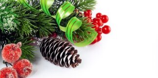 Co daje stożek w dieslu? Co daje stożek w dieslu?