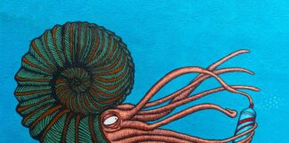 Czy syfon jest potrzebny? Czy syfon jest potrzebny?