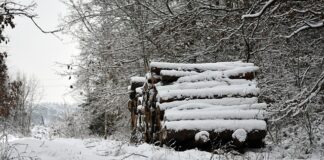 Jakim hakiem Wyrabiać kruche ciasto? Jakim hakiem Wyrabiać kruche ciasto?