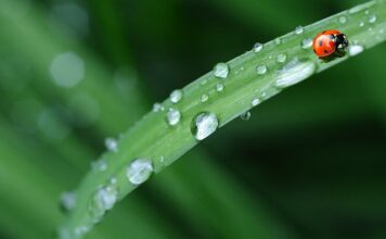 Ile potrzeba materiału na pościel 160x200?