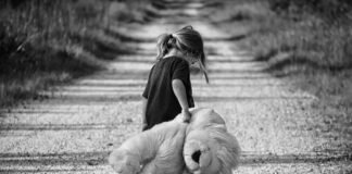 Co oznacza Miś na zderzaku?