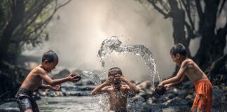 Co ile dni można kąpać świnkę morską?