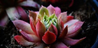 Jakiej grubości materac dla 3 latka? Jakiej grubości materac dla 3 latka?