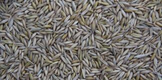 Jaki kraj produkuje najwięcej mebli? Jaki kraj produkuje najwięcej mebli?