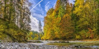 Jak usunąć przebarwienia na zlewie? Jak usunąć przebarwienia na zlewie?