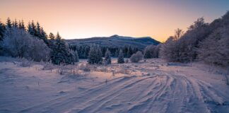 Jakie opony do Mitsubishi Space Star? Jakie opony do Mitsubishi Space Star?