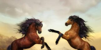 Dlaczego maść końska nazywa się końska?