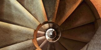 Co dać na dno do klatki świnki morskiej?