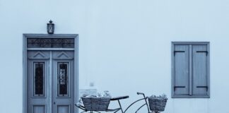 Kiedy można przycinać drzewa owocowe? Kiedy można przycinać drzewa owocowe?