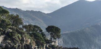 Ile kosztuje dobry robot planetarny?