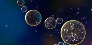 Ile oleju do 2.4 JTD? Ile oleju do 2.4 JTD?