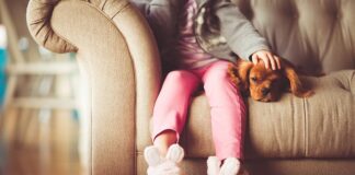 Jak wybrać najlepszą karmę dla małych psów